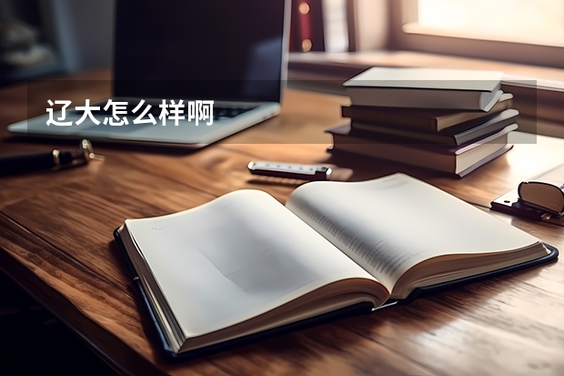 辽大怎么样啊