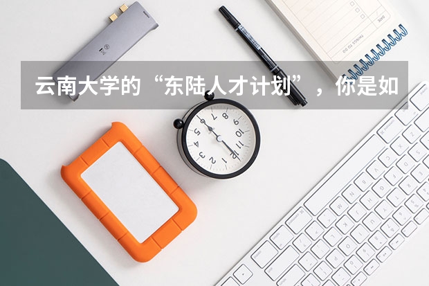 云南大学的“东陆人才计划”，你是如何看待的？