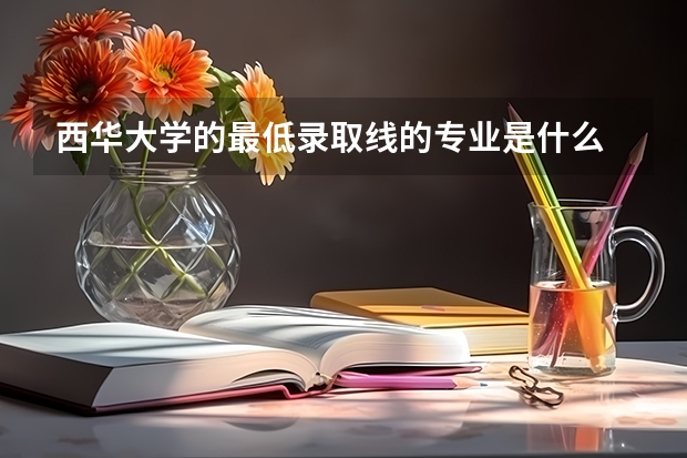 西华大学的最低录取线的专业是什么