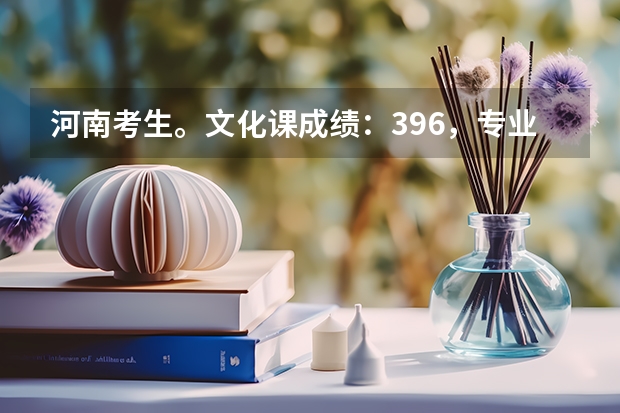 河南考生。文化课成绩：396，专业成绩：242。我想报考郑州大学美术系，有希望吗