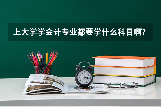 上大学学会计专业都要学什么科目啊？