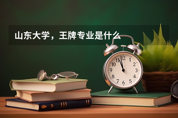 山东大学，王牌专业是什么