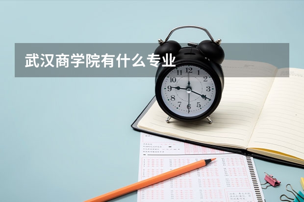 武汉商学院有什么专业