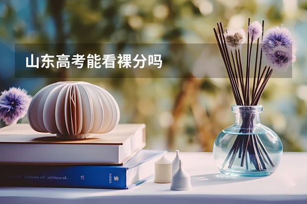 山东高考能看裸分吗