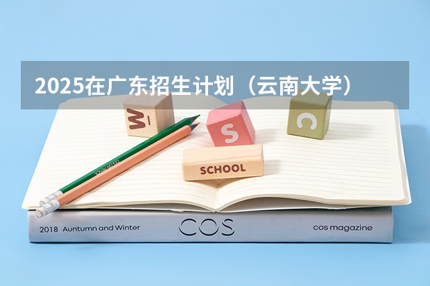2025在广东招生计划（云南大学）