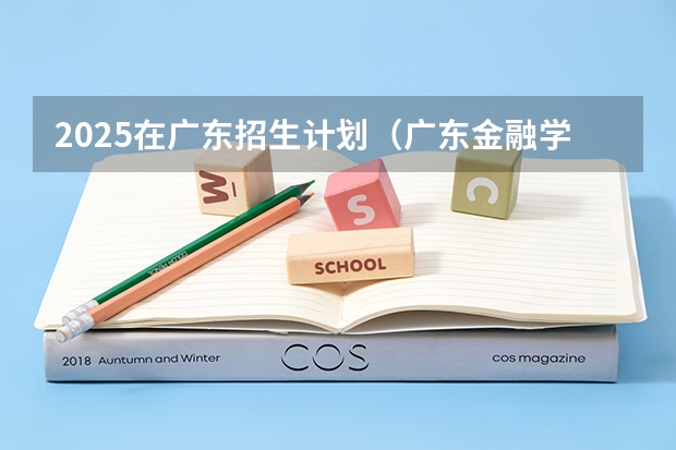2025在广东招生计划（广东金融学院）